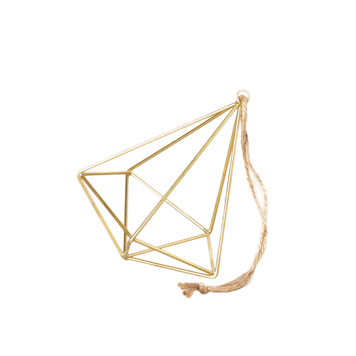 Elegant Brass Hanging Planter: Air Plant Display Hanger for Air Plant Lovers Green Memento