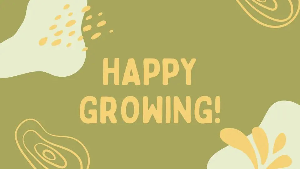 The Ultimate Guide to Keeping House Plants Alive Green Memento